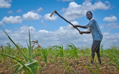 THE ROLE OF SOCIALIZATION IN BOOSTING GHANA’S AGRIC SECTOR