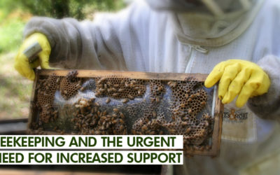 BEEKEEPING AND THE URGENT NEED FOR INCREASED SUPPORT