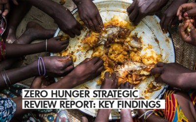 ZERO HUNGER STRATEGIC REVIEW REPORT: KEY FINDINGS