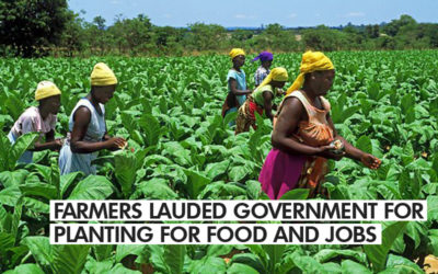 FARMERS LAUDED GOVERNMENT FOR PLANTING FOR FOOD AND JOBS INITIATIVE