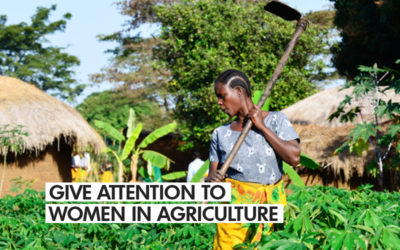 GIVE ATTENTION TO WOMEN IN AGRICULTURE-AGRIHOUSE FOUNDATION TELLS GOV’T