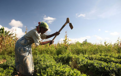 BREAKING THE ‘GRASS CEILING’: EMPOWERING WOMEN FARMERS