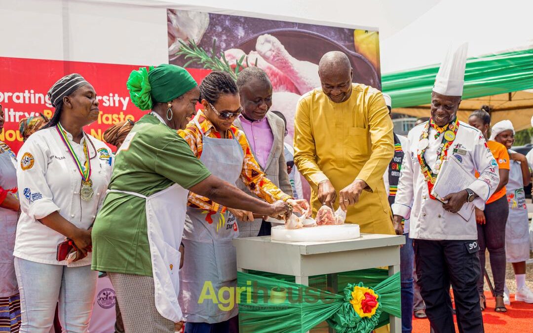 Youth Urged to Invest in Poultry Sector