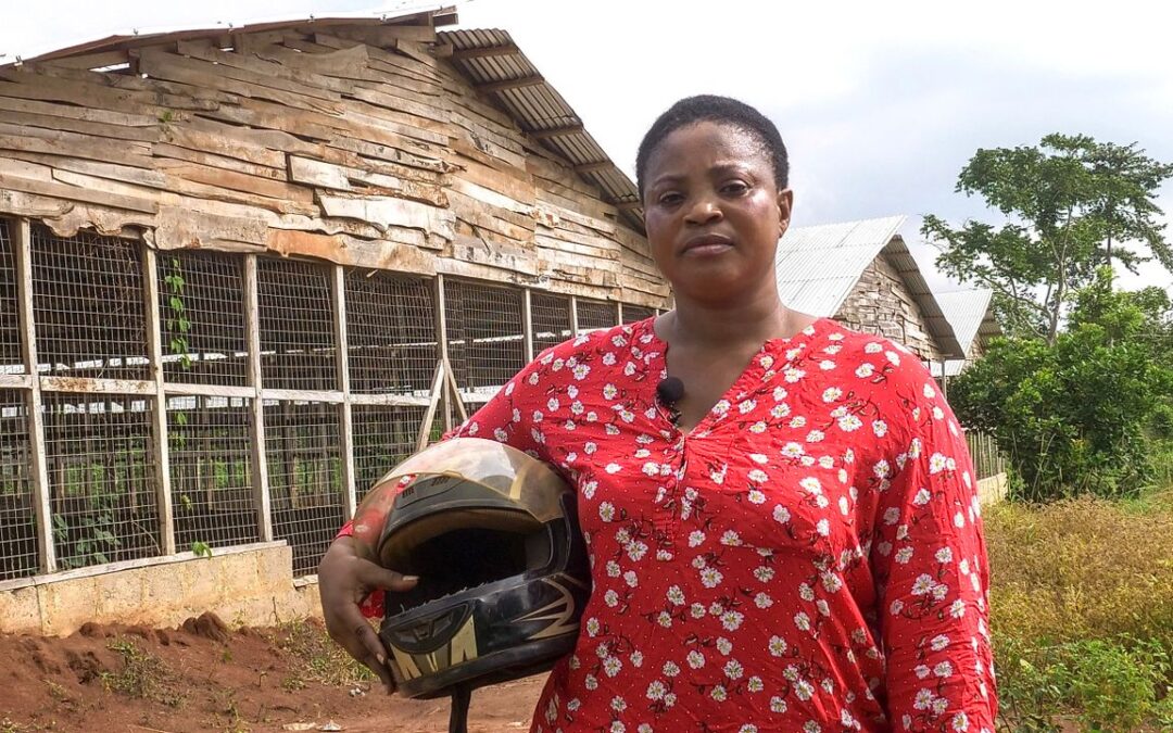 Royalty and Agriculture: A Queen Mother’s Journey to Farming Success