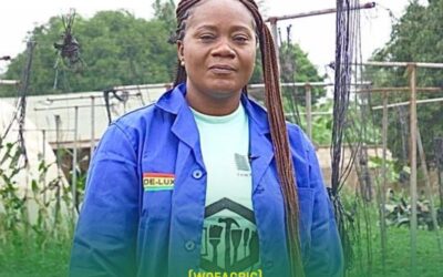 Meet Vera Enyonam Osei Kwakye,A 43year old Farmer Revolutionizing Agriculture in the Bono Region